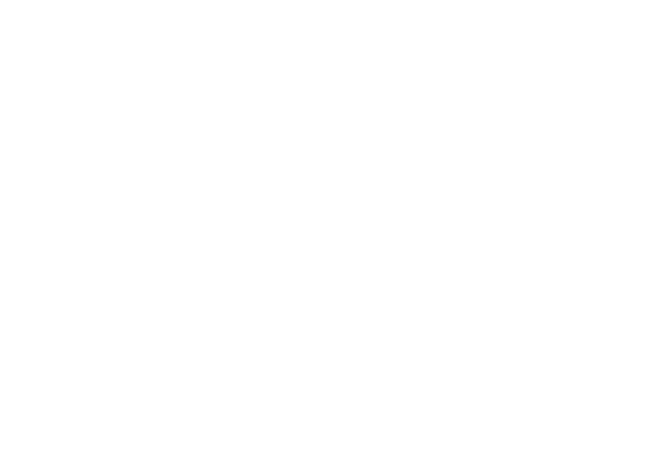 Federbusch Tischlermeister Logo